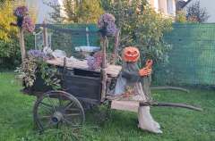 Halloween 6
