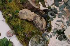 Table Dino 3